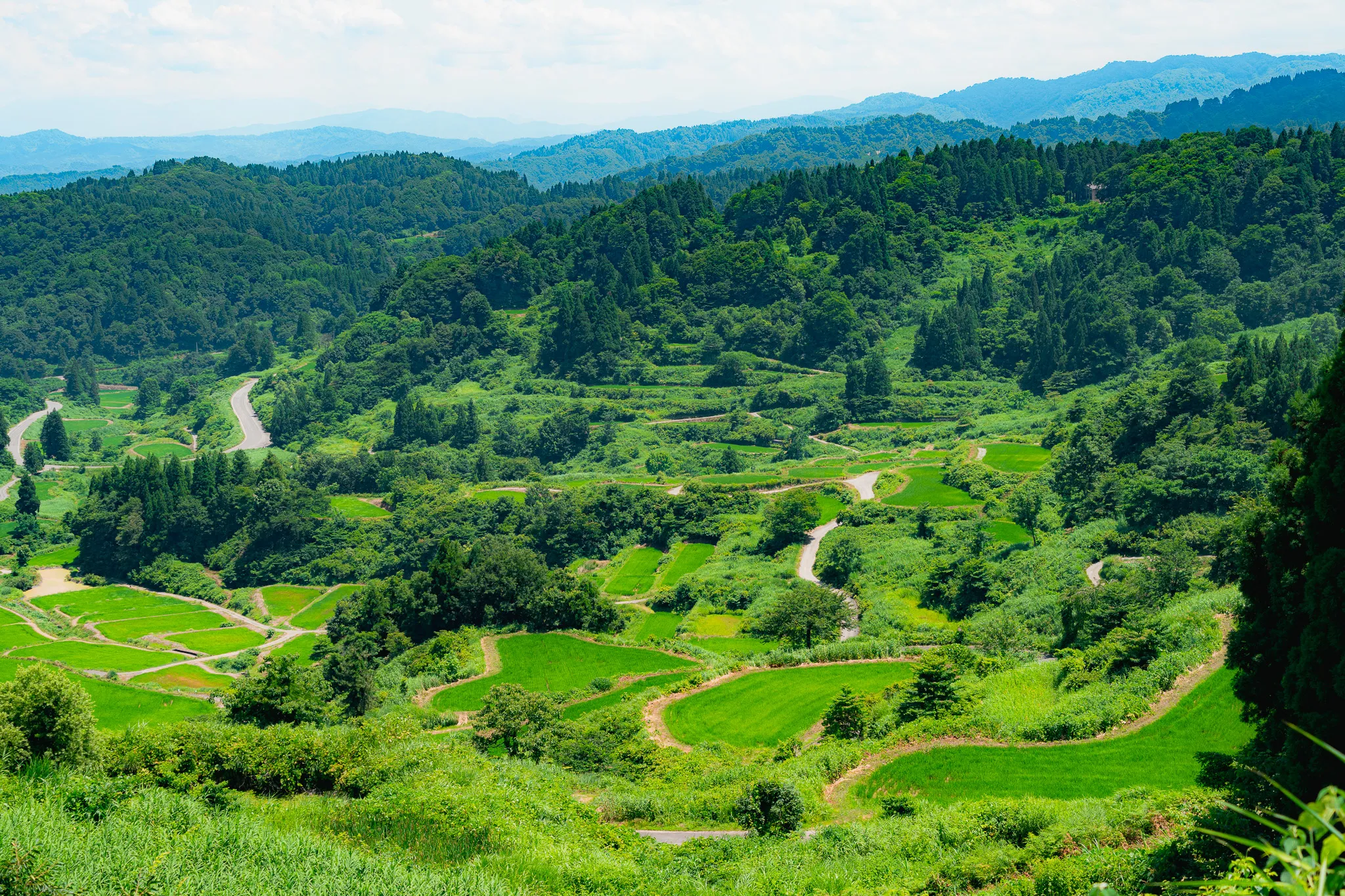 Hoshitoge Rice Terraces