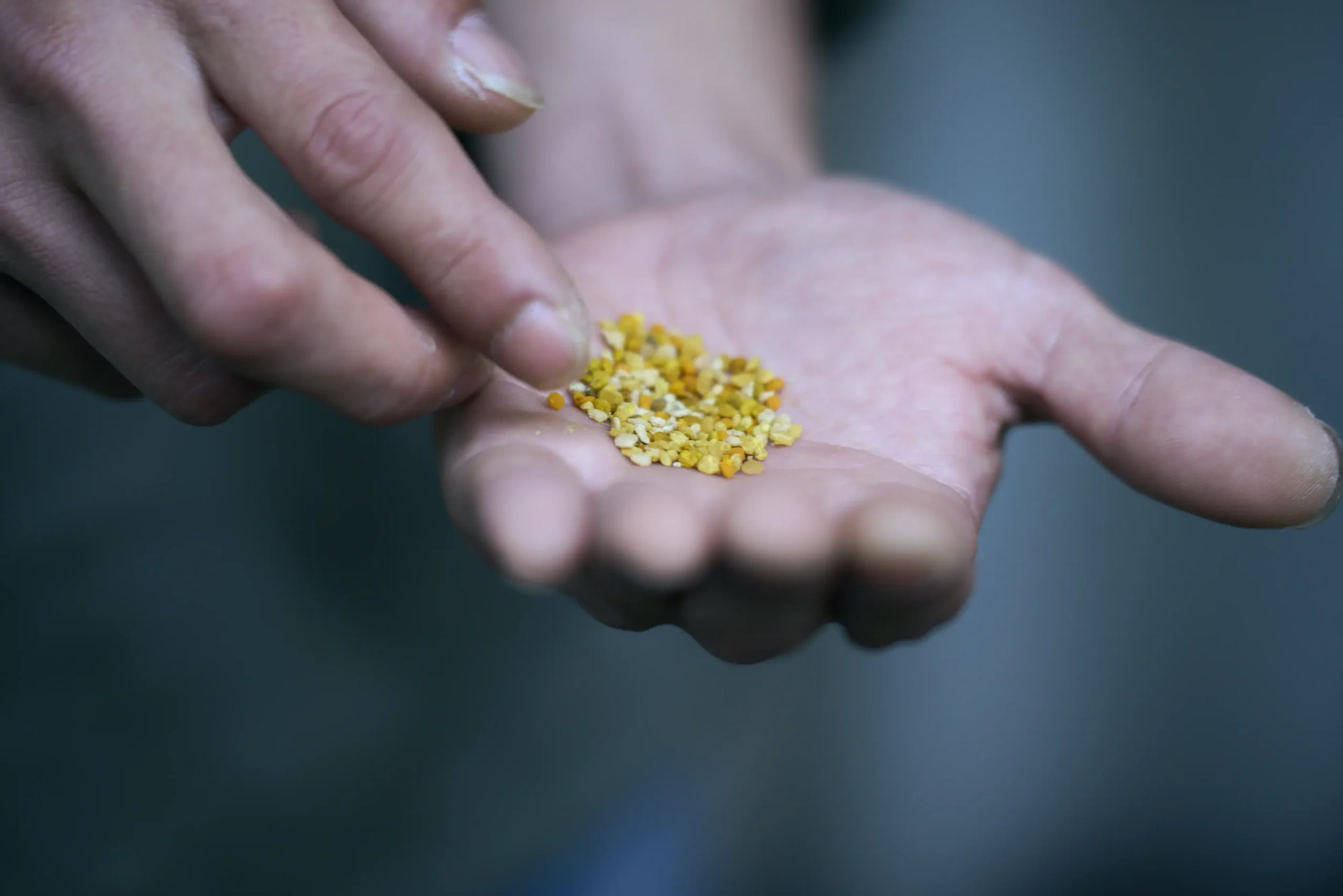 新潟の食材のみを使用