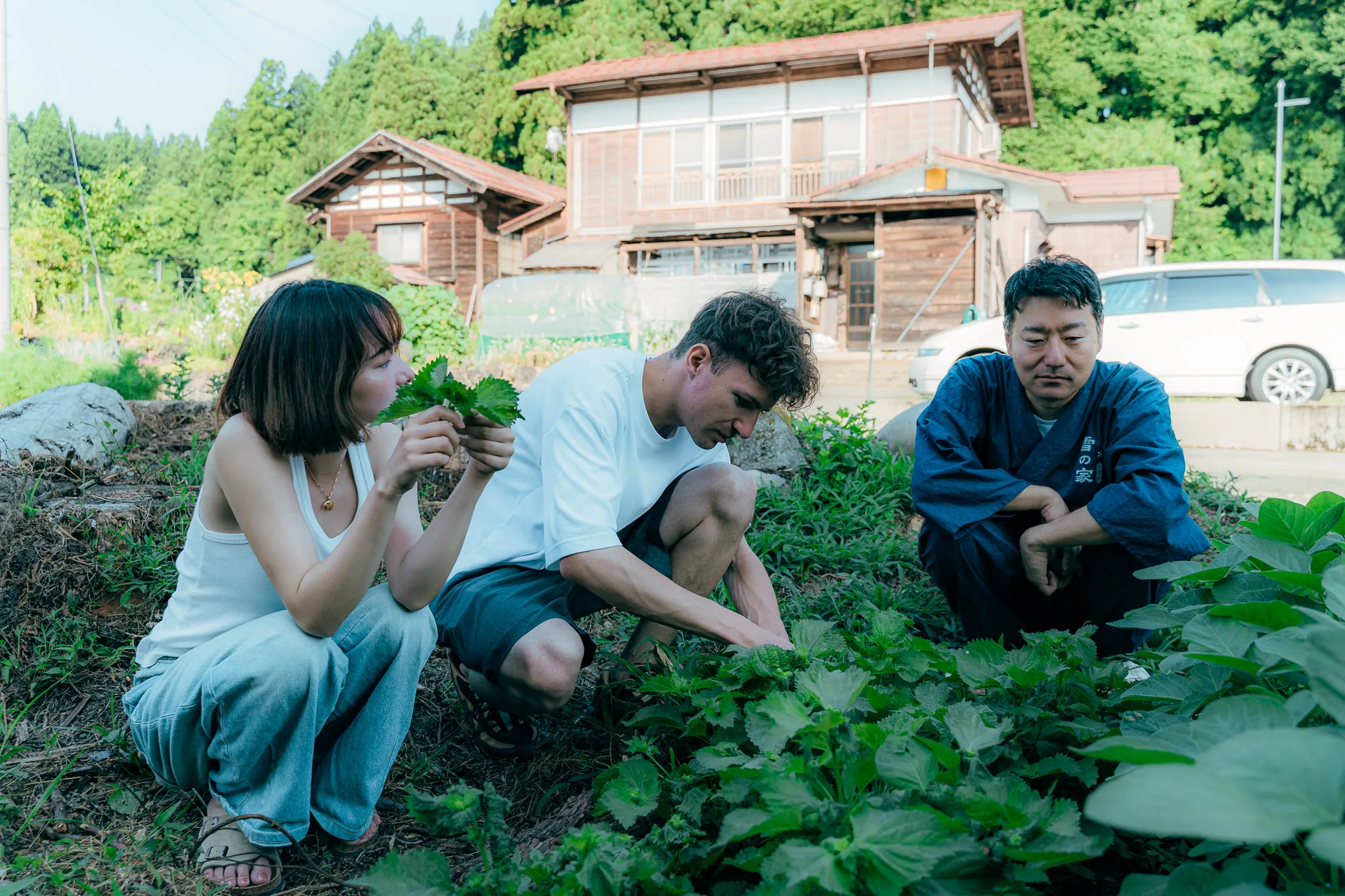 裏庭で野菜を摘む