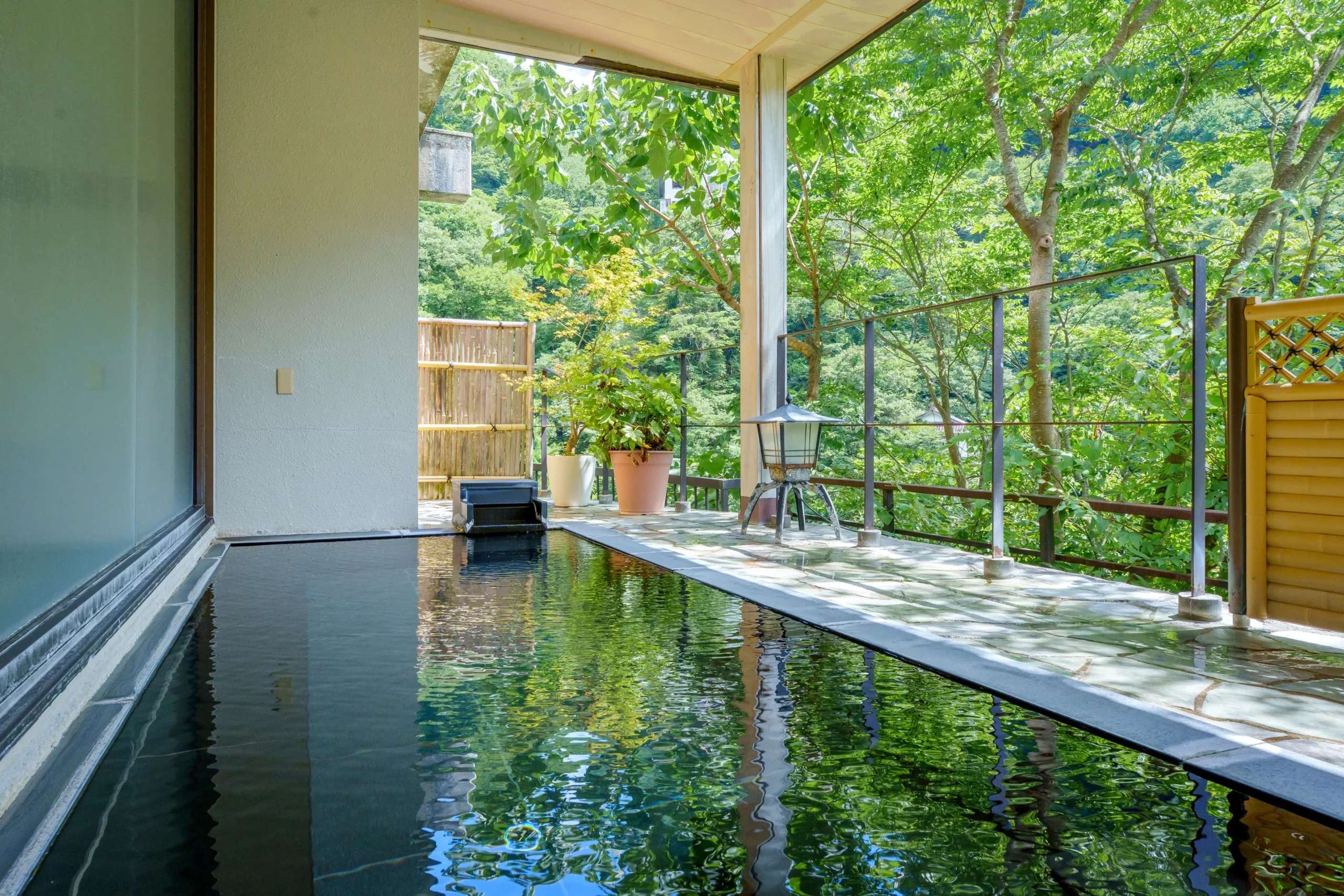 解説付きのバスツアー