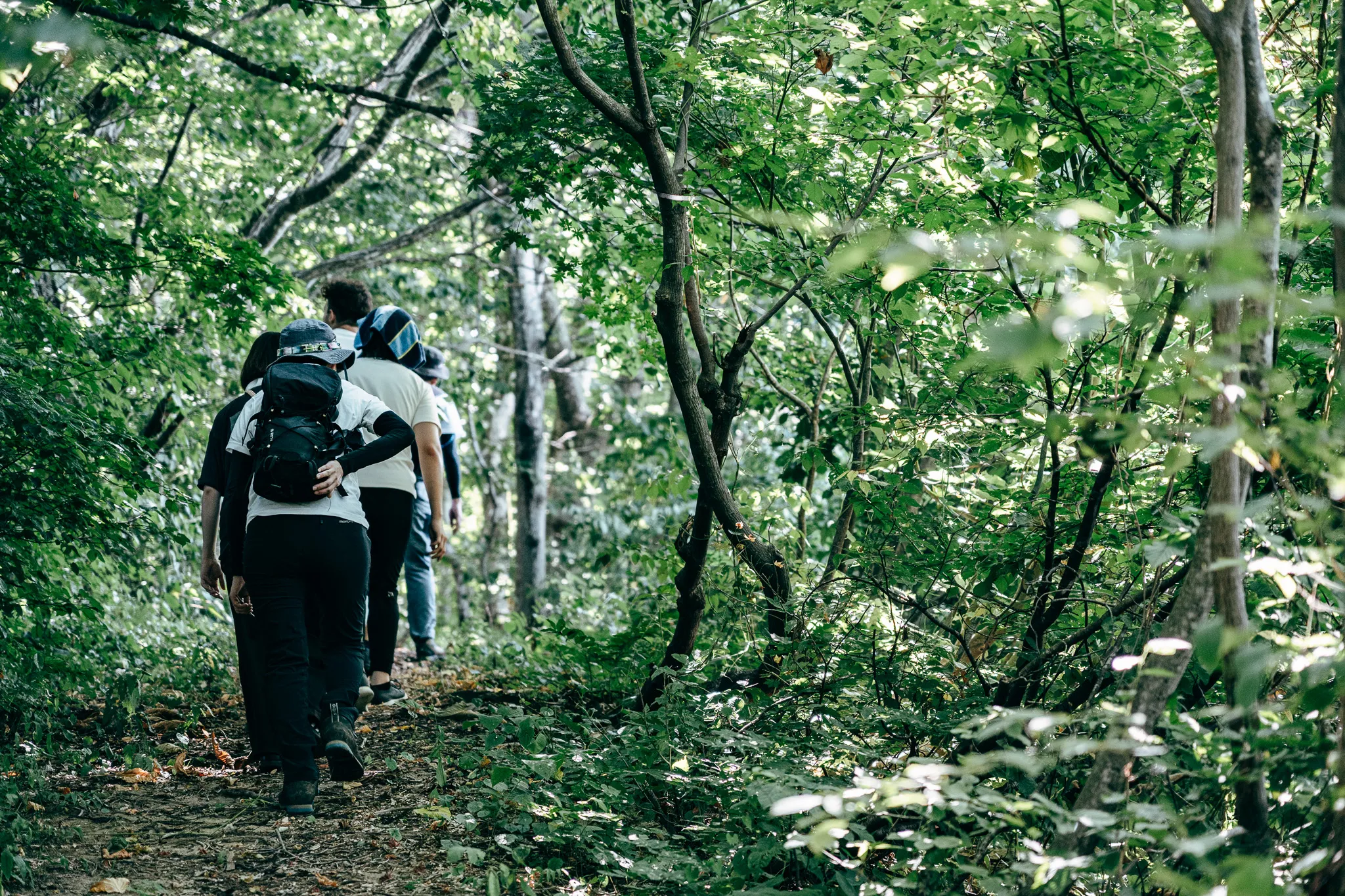 ガイド付きツアー