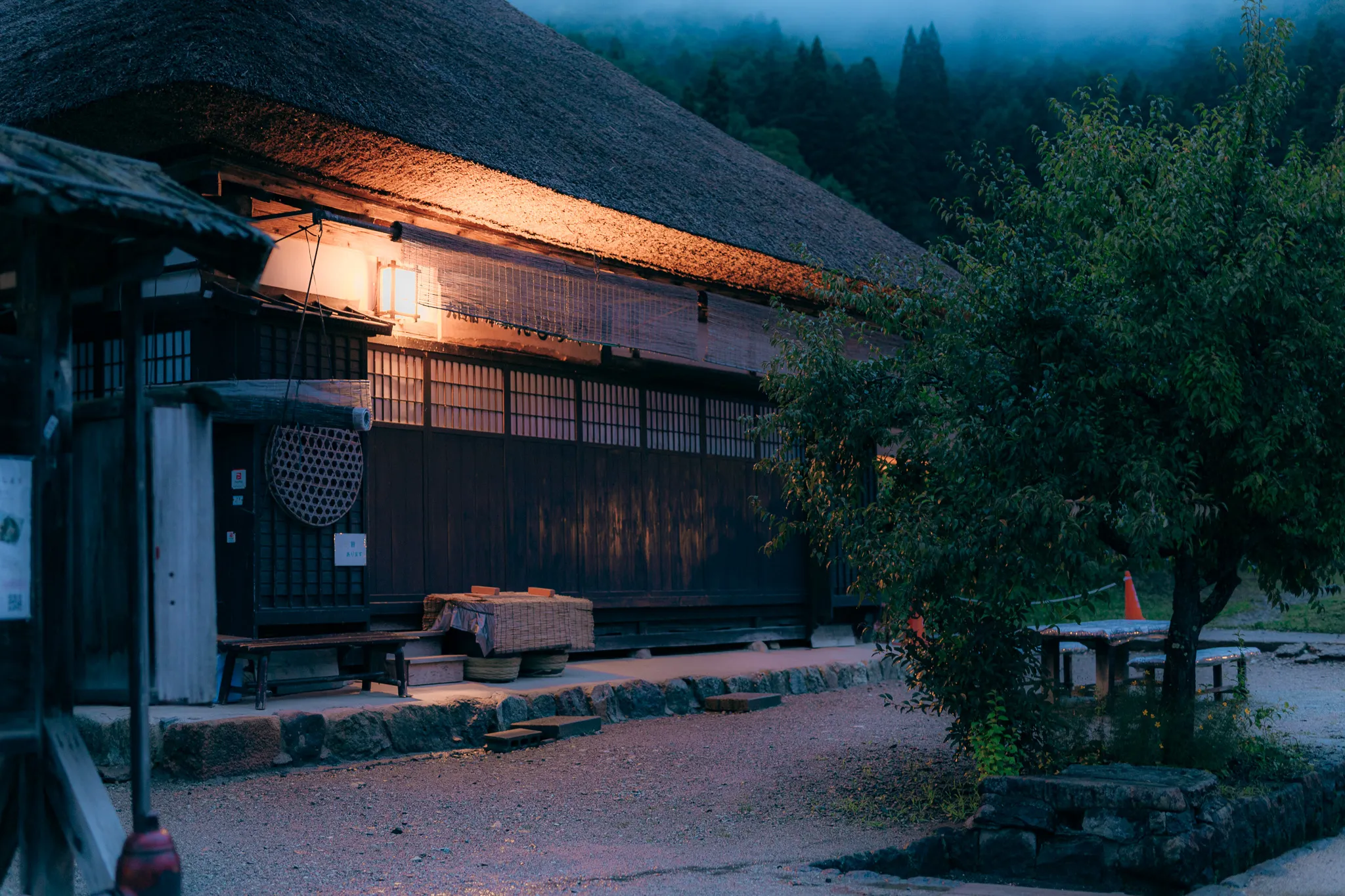 食後に出かけるナイトツアー