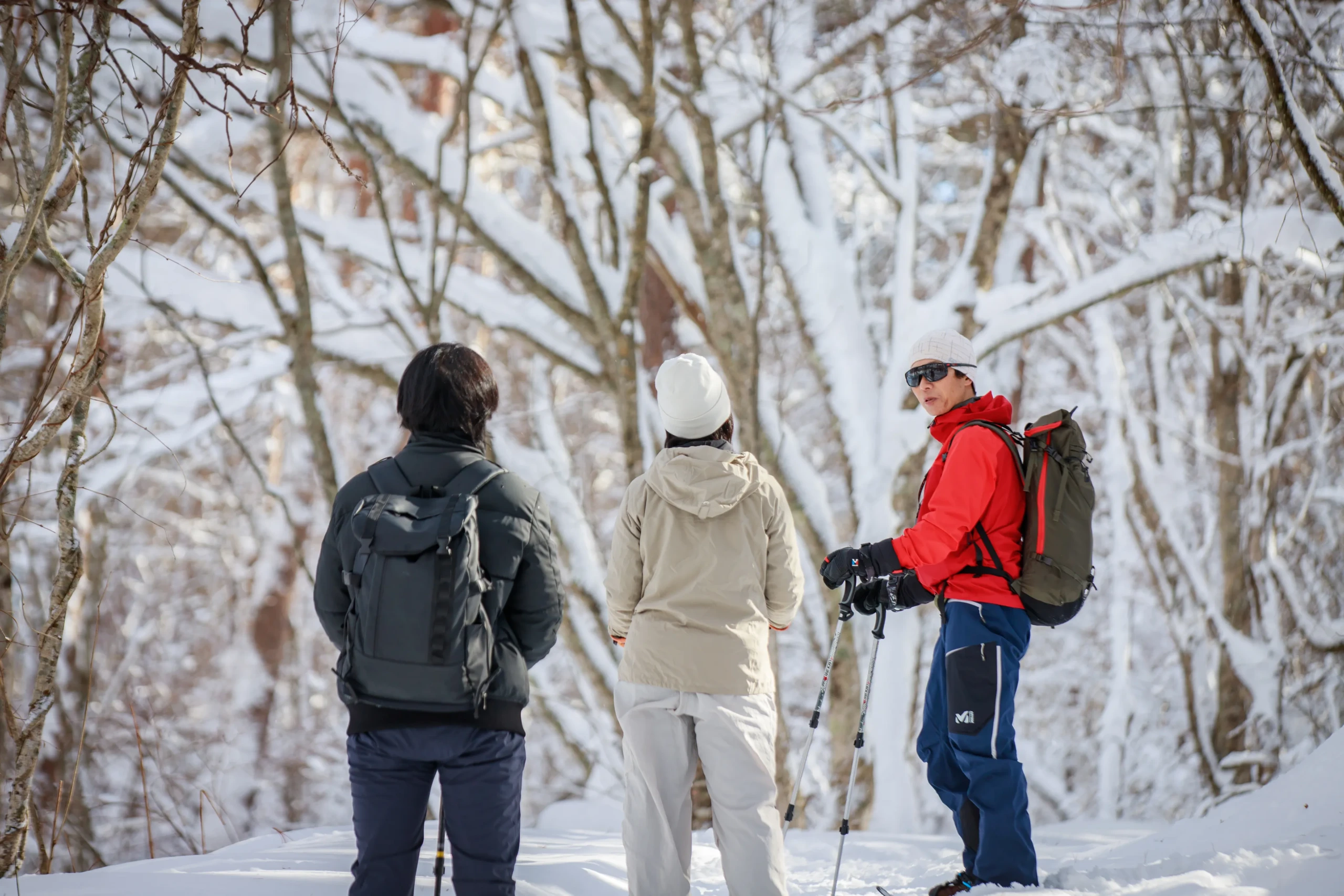 ガイド付きツアー