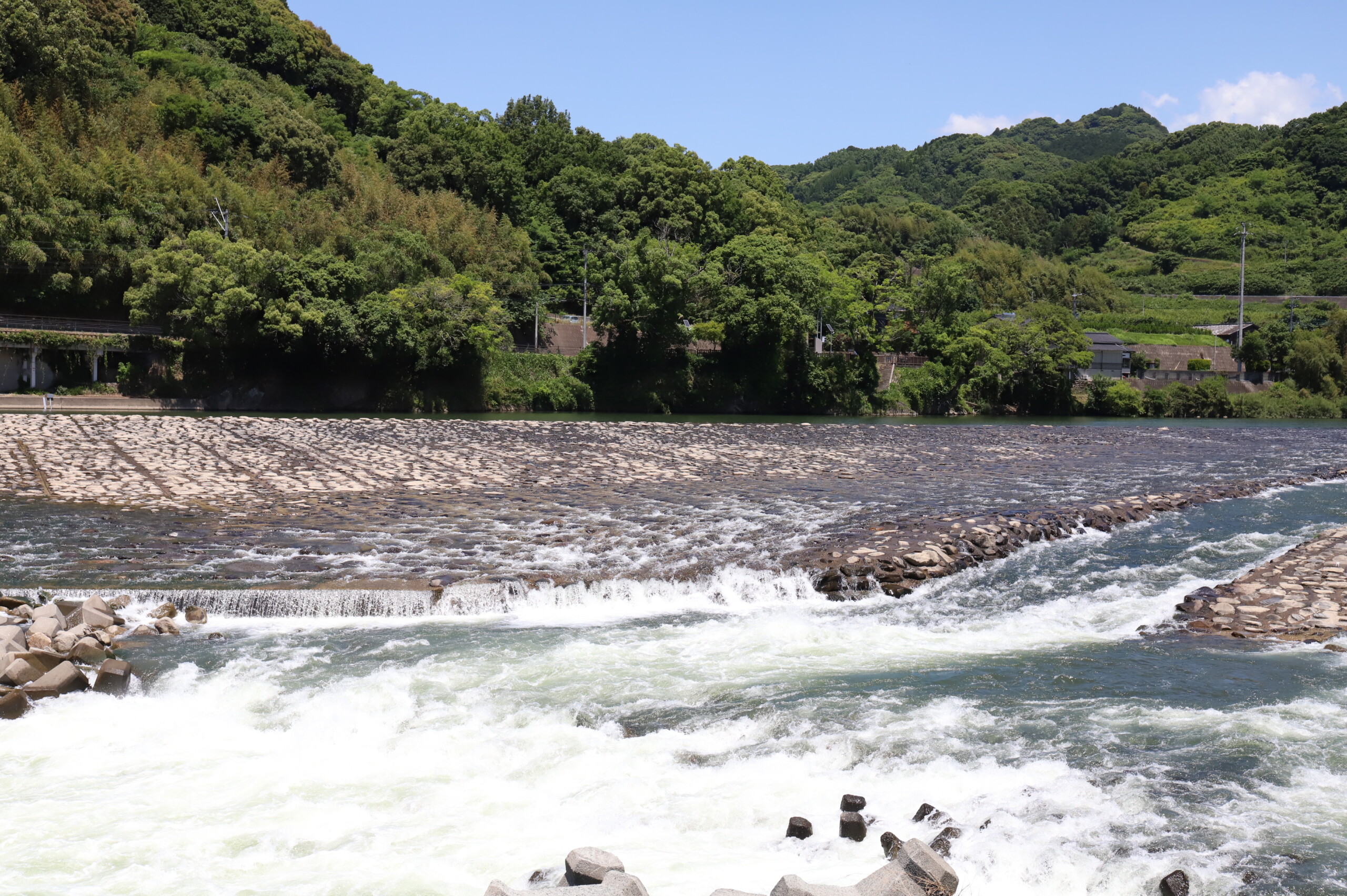 リバーワイルド