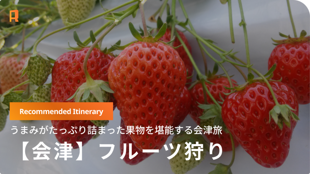 【会津】旬の恵みを味わう贅沢。フルーツ狩りと名湯を巡る「食の会津旅」