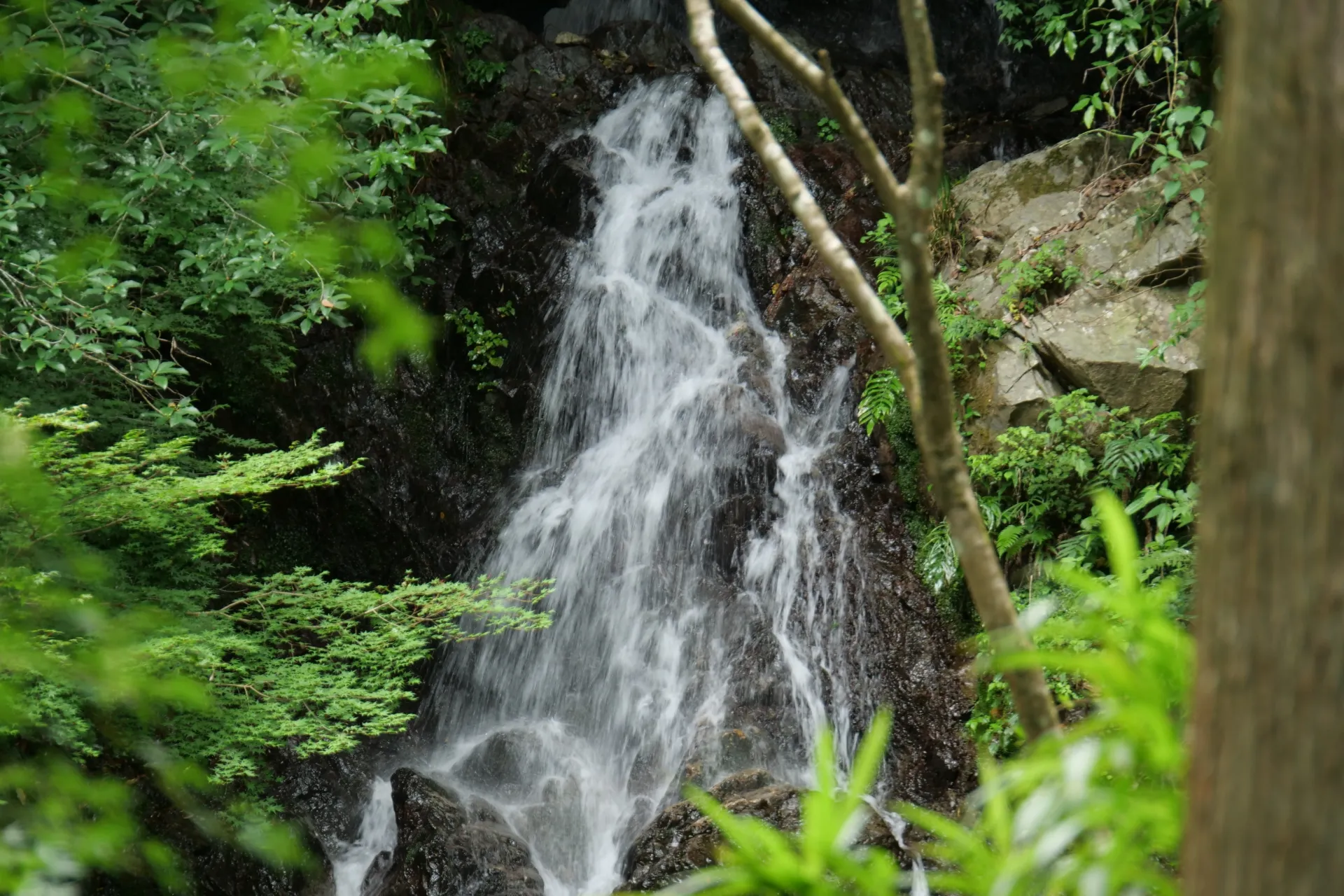 調音の滝
