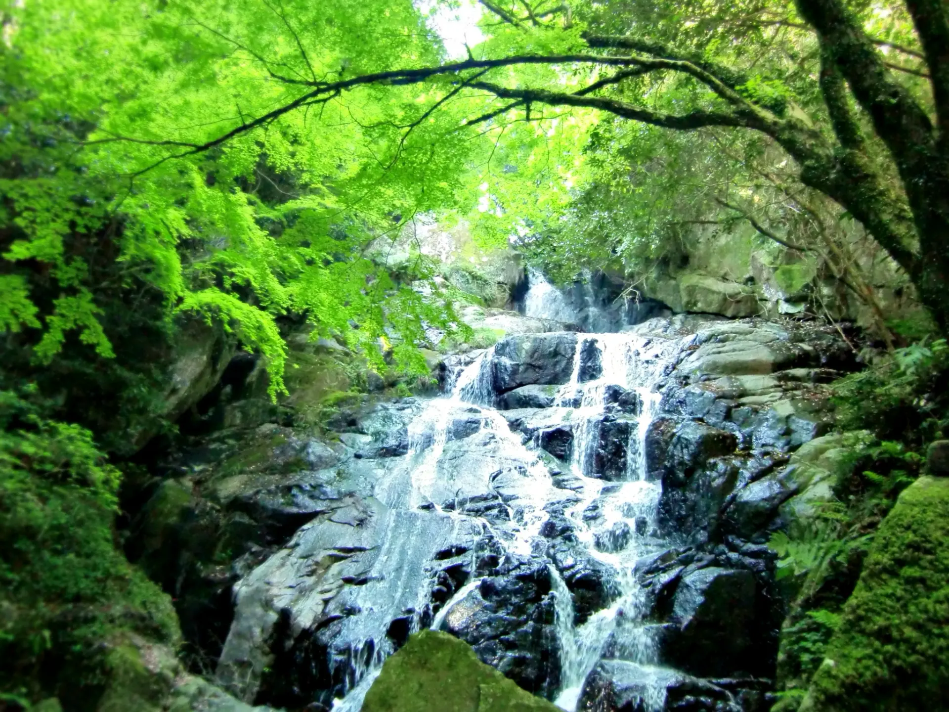 千如寺滝