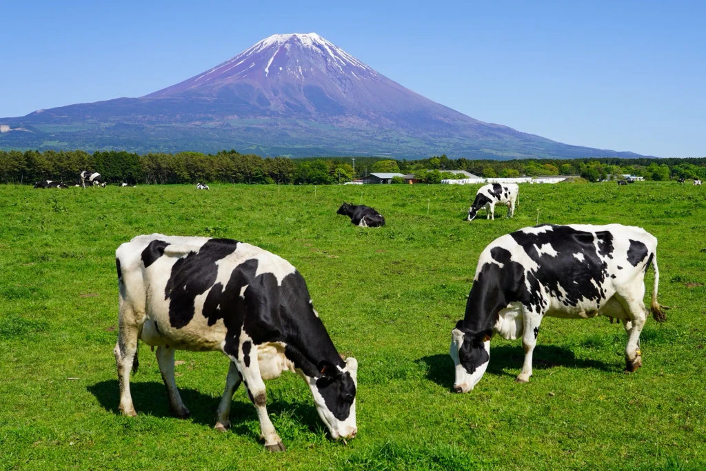Makaino Farm