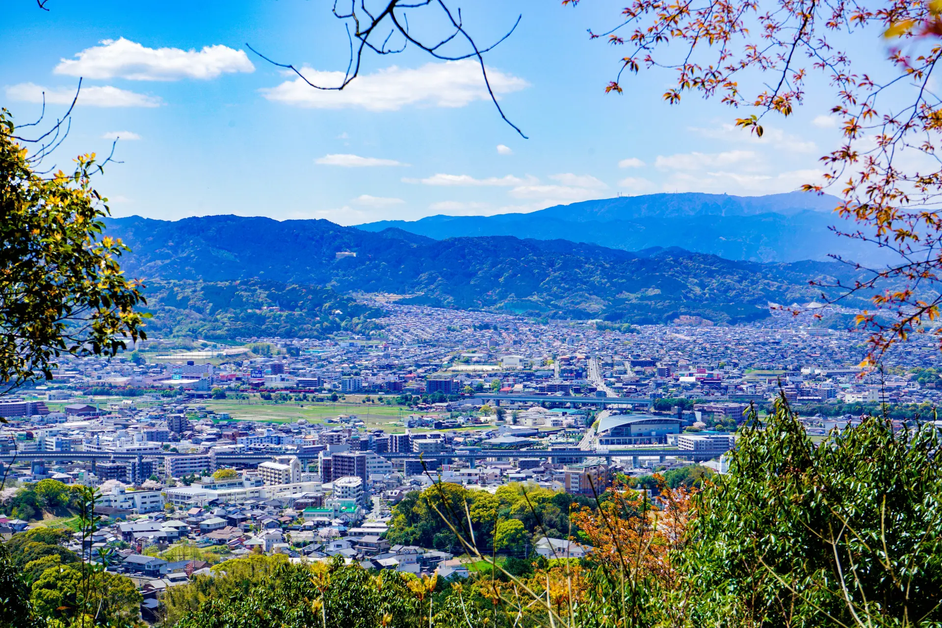 四王寺山