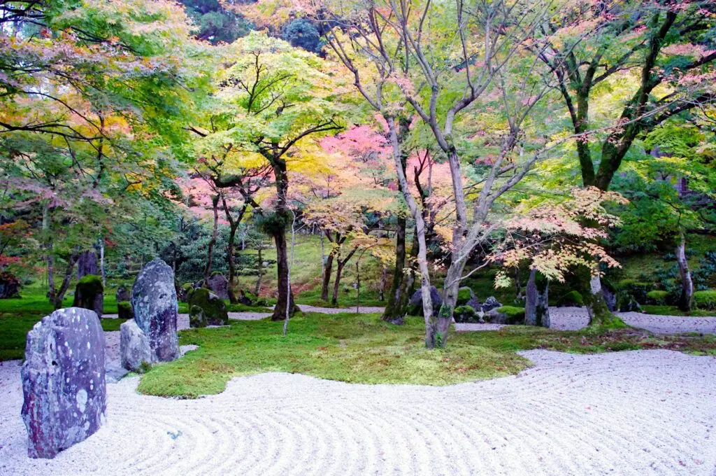 紅葉の庭園