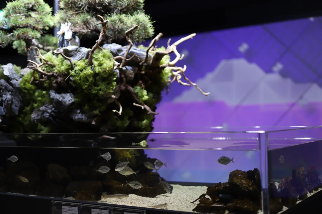 Smart Aquarium Shizuoka