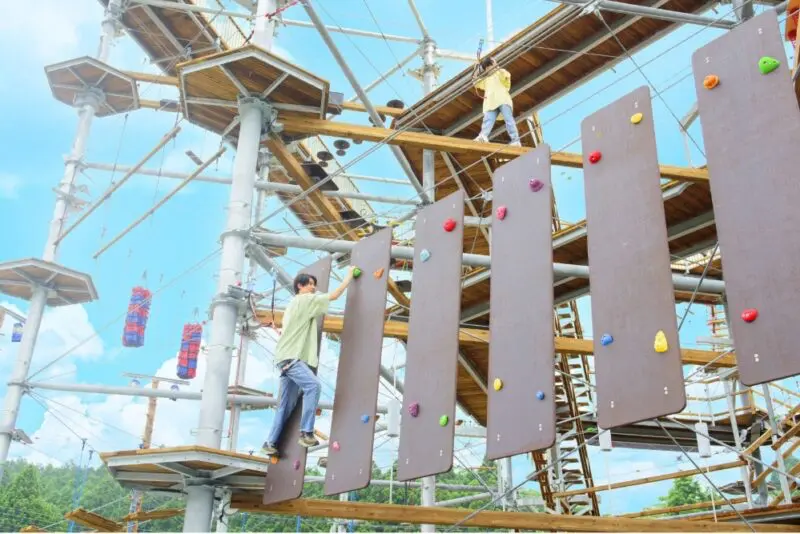 Mishima Skywalk