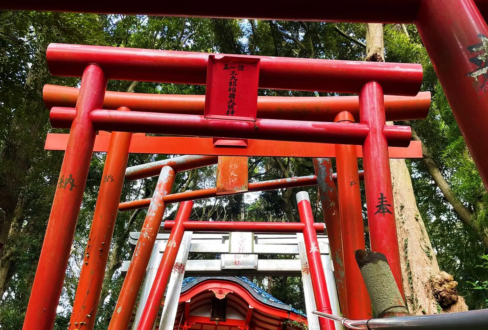 赤の鳥居