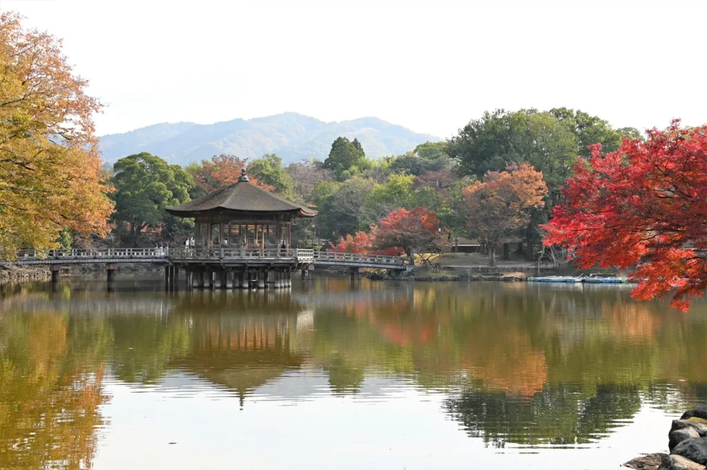 高円山